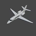Luxury Private Jet With White Body Green Black Stripes And LUX Lettering