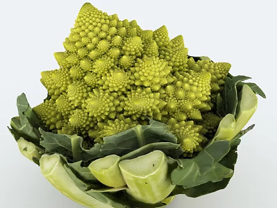 Fresh Green Romanesco Broccoli with Spiral Cone Shape and Vibrant Green Leaves 3d model