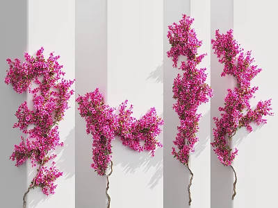 Pink Decorative Vine Flowers Arranged In Vase Against White Background 3d model