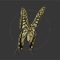 Modern Butterfly Colored Butterfly Tabby Butterfly Leaf Butterfly 3d model