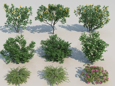 Various Types of Shrubs with Green Foliage and Colorful Flowers in Garden 3d model