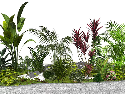 Different Types Of Tropical Plants Including Green Foliage Red Leaves And White Flowers 3d model