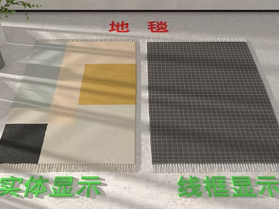 Floor With Carpets Shown In Solid Display And Wireframe 3d model