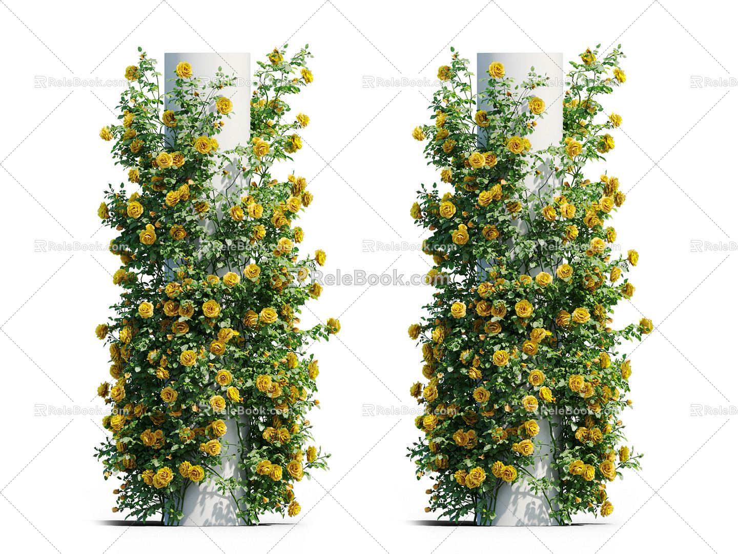 Modern Vine Vine Plant 3d model