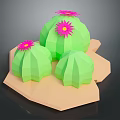 Low Poly Green Cactus Plants With Pink Flowers On Geometric Base