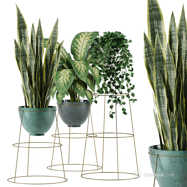 Lush Potted Green Plants In Ceramic Pots With Variegated And Long Leaves On Metal Stands 3d model 