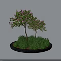 Decorative Circular Planter With Two Trees Bearing Pink Flowers And Green Shrubs