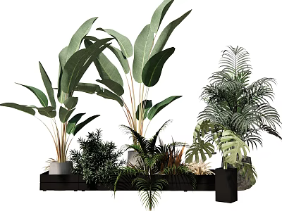 Stylish Indoor Potted Plants Collection With Diverse Green Leaves On Black Shelf 3d model