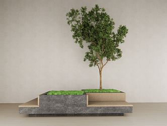 modern tree pond plant tree pond green plant 3d model