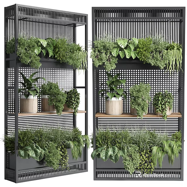Decorative Plant Arrangement With Black Metal Shelves And Various Green Potted Plants 3d model 