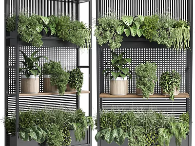 Decorative Plant Arrangement With Black Metal Shelves And Various Green Potted Plants 3d model