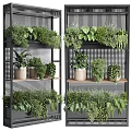 Decorative Plant Arrangement With Black Metal Shelves And Various Green Potted Plants