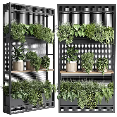 Decorative Plant Arrangement With Black Metal Shelves And Various Green Potted Plants 3d model