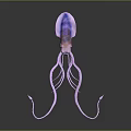 Elegant Purple Marine Squid with Long Slender Tentacles and Pink Hues