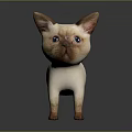 Cute Siamese Kitten With Blue Eyes Light Colored Body And Dark Ears Tail Paws