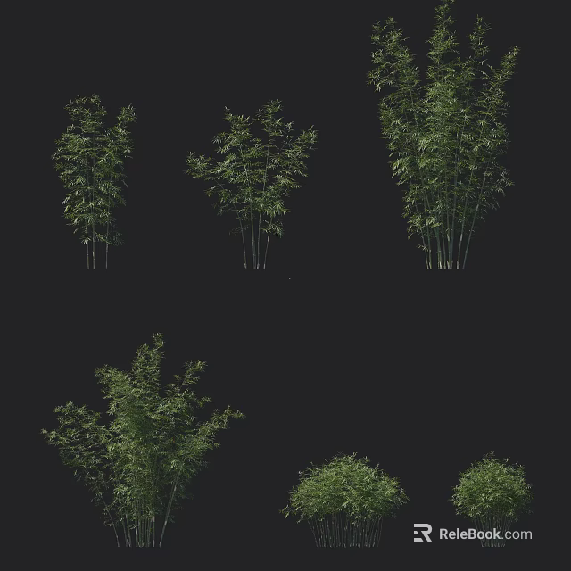 Different Types of Bamboo Plants with Green Leaves and Tall Stems 3d model 