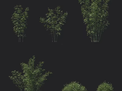 Different Types of Bamboo Plants with Green Leaves and Tall Stems 3d model