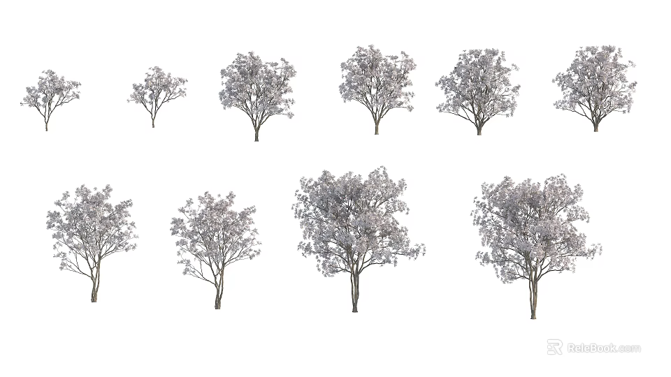 Various Arbor Trees In Different Sizes And Natural Shapes For Landscape Design 3d model 