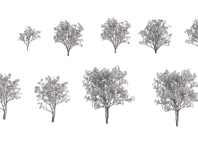 Various Arbor Trees In Different Sizes And Natural Shapes For Landscape Design 3d model