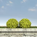 Round Green Bushes In Stone Rectangular Flower Bed Against Blue Sky With White Clouds 3d model