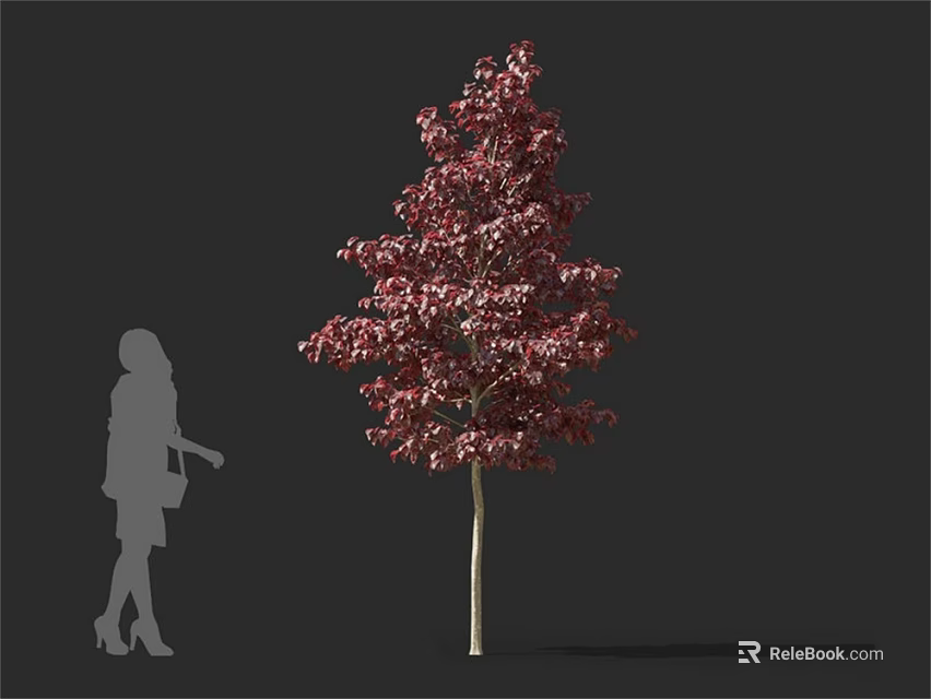 Tall Arbor With Red Leaves And Human Silhouette For Size Comparison 3d model 