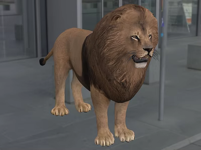 Reptile Lizard With Brown Scaly Skin Standing On Gray Concrete Surface Outdoors 3d model