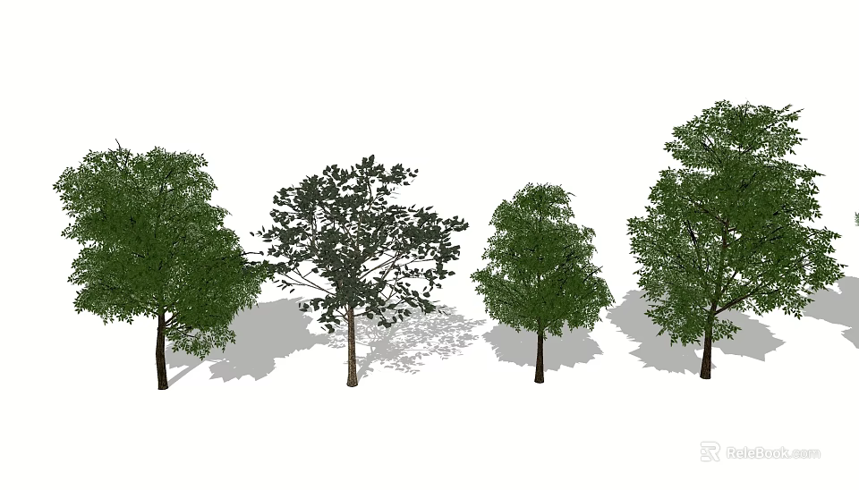 Various Arbor Trees In Different Sizes With Green Foliage And Shadows 3d model