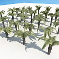 Lush Palm Trees Growing on White Ground with Clear Blue Sky Background 3d model