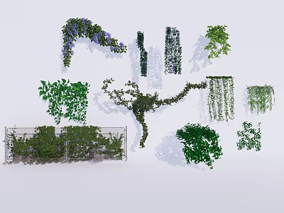 Various Types of Decorative Vines With Climbing Hanging Green Leaves And Purple Flowers 3d model