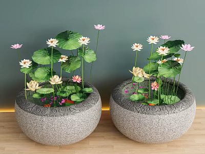 Lotus Bonsai Potted Plants In Stone Flower Pots With Pink White Flowers And Green Leaves 3d model