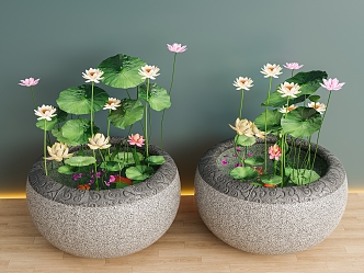 New Chinese Style Water Tank Pool Lotus Green Plant Basin Bonsai 3d model