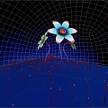 Vibrant Flowers With Blue White Orange Petals On Green Stems In Starry Blue Grass Field