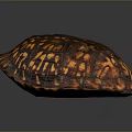 Detailed Reptile Turtle Shell Displaying Brown And Orange Patterned Textured Surface 3d model
