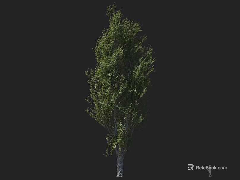 Tall Arbor With Lush Green Leaves Strong Trunk And Dense Foliage 3d model 