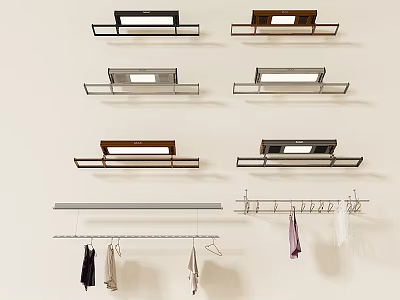 Wall Mounted Clothes Hangers with Various Styles and Hanging Clothes Designs 3d model