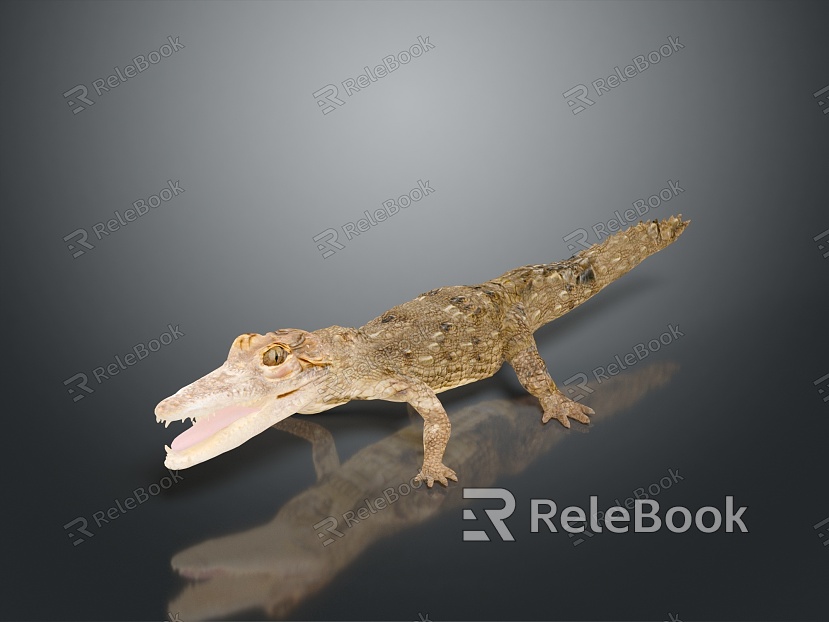 Crocodile Alligator Nile Crocodile carnivore reptile cold-blooded animal reptile reptile model