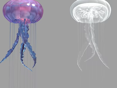 Graceful Purple And White Jellyfish With Transparent Bodies And Flowing Tentacles 3d model