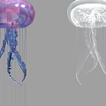 Graceful Purple And White Jellyfish With Transparent Bodies And Flowing Tentacles