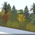 Diverse Trees Collection Showcasing Multiple Arbor Varieties With Colorful Foliage And Green Leaves