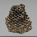 Bee Made Natural Honeycomb Structure With Intricate Hexagonal Cells Design Details 3d model