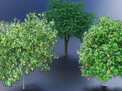 Types of Arbor Trees with Green Foliage and Colorful Fruits in Landscape Design 3d model