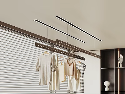 Modern Interior Design With Ceiling Mounted Clothes Rack Hanging Clothes And Blinds 3d model