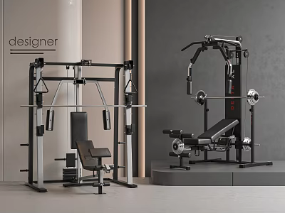Professional Home Gym Equipment With Multi functional Trainer And Weight Bench 3d model