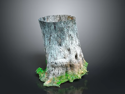 Natural Tree Stump With Detailed Bark Texture And Fresh Green Moss At The Base 3d model
