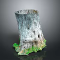 Natural Tree Stump With Detailed Bark Texture And Fresh Green Moss At The Base