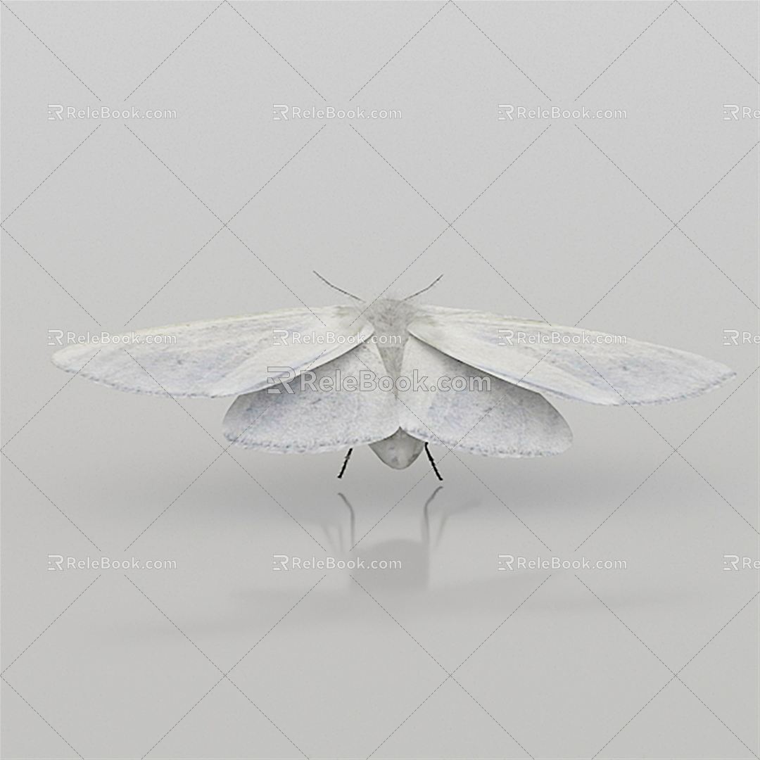 Modern American Hyphantria cunea 3d model