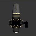 Professional Condenser Microphone With Metal Mesh And Shock Mount Black Gold Design