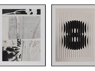 Abstract Paintings With Black And White Geometric Patterns Symmetric Wave Designs And Abstract Lines 3d model
