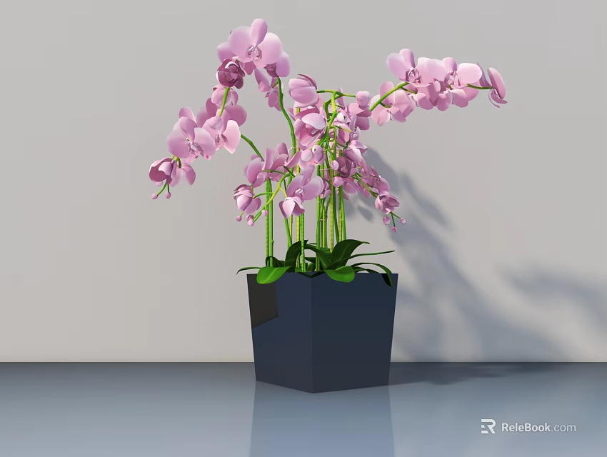 Pink Orchid Bonsai Potted Plant In Dark Geometric Pot On Shiny Surface With White Background 3d model 