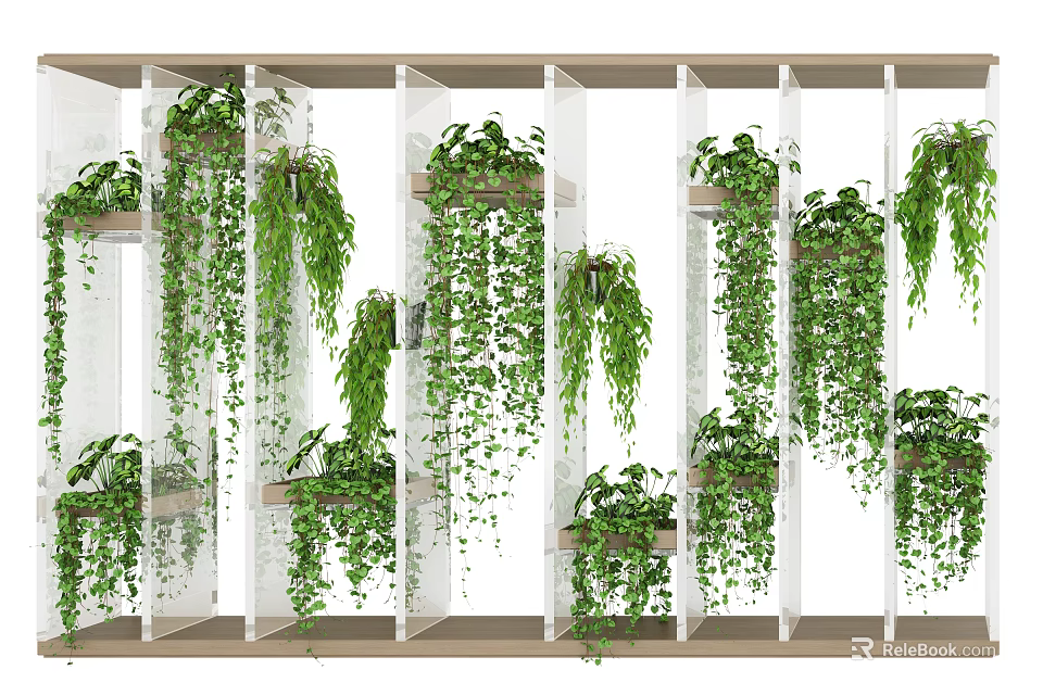 Elegant Hanging Bonsai Potted Plants On Transparent Dividers With Green Vines 3d model 